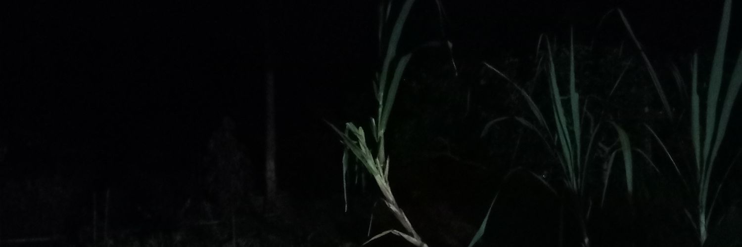 Changzood007's profile banner image