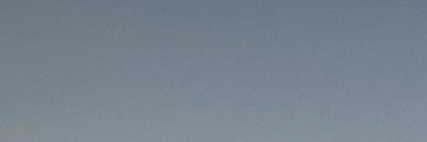 00ny0ny00 Profile Banner