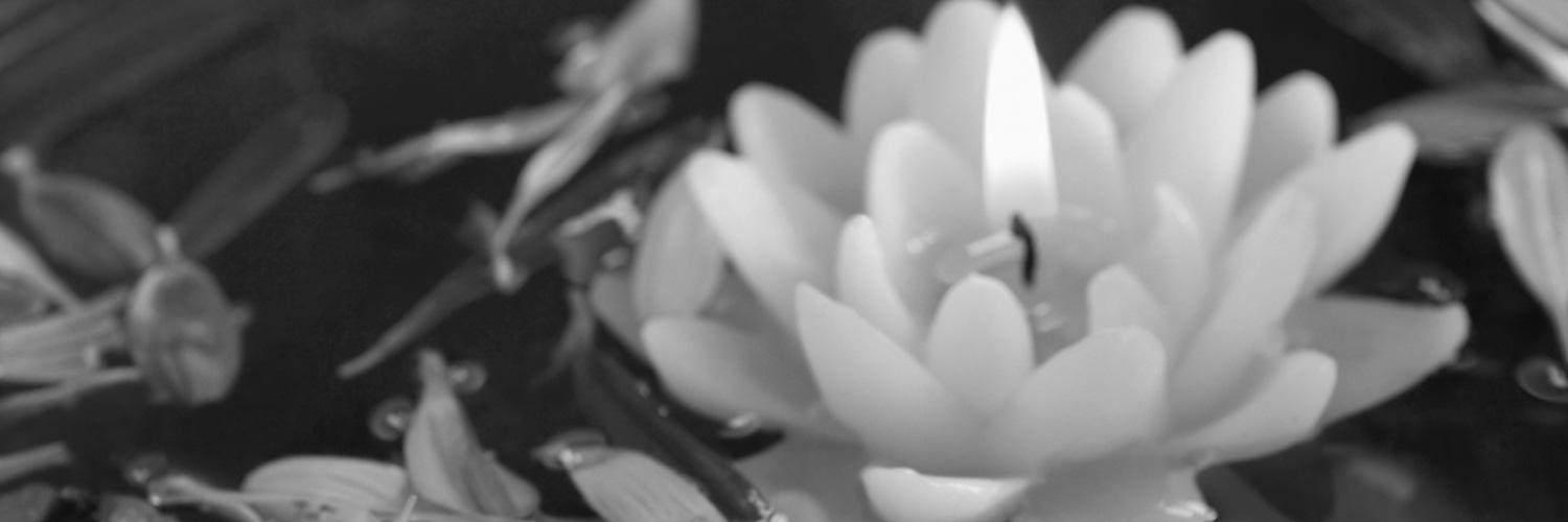 internalharmony's profile banner image