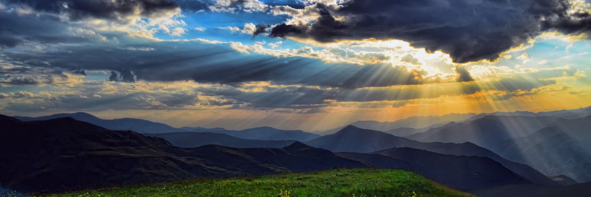 DeniseMcCormack banner