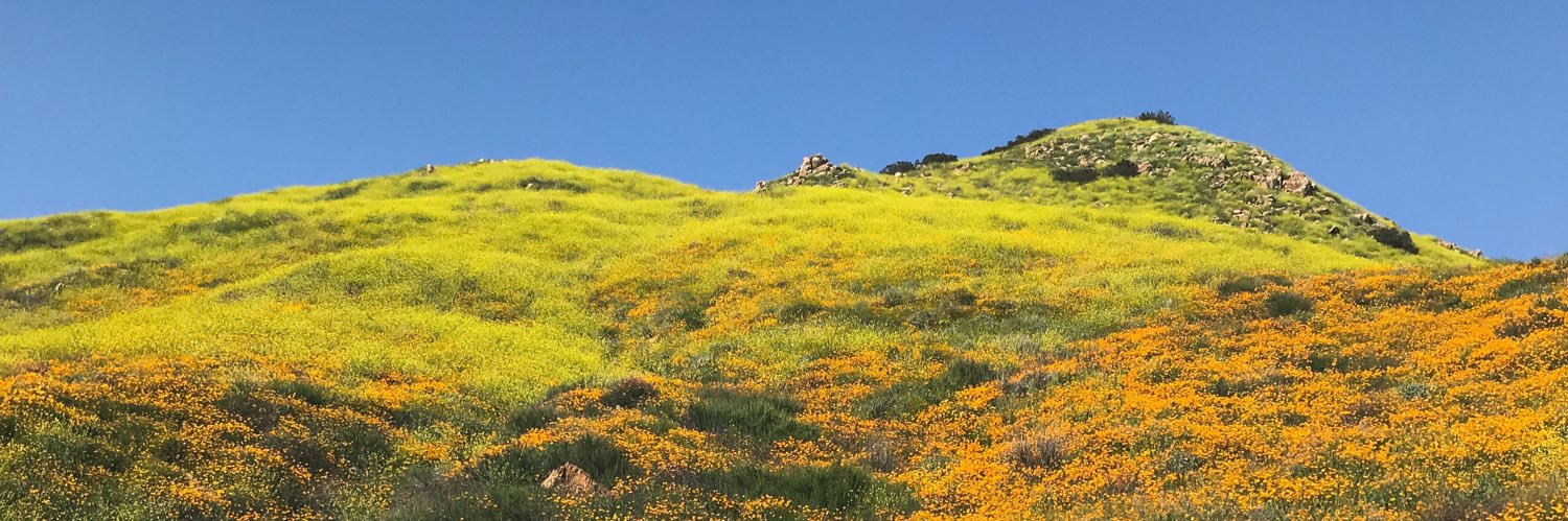 bpar35's profile banner image