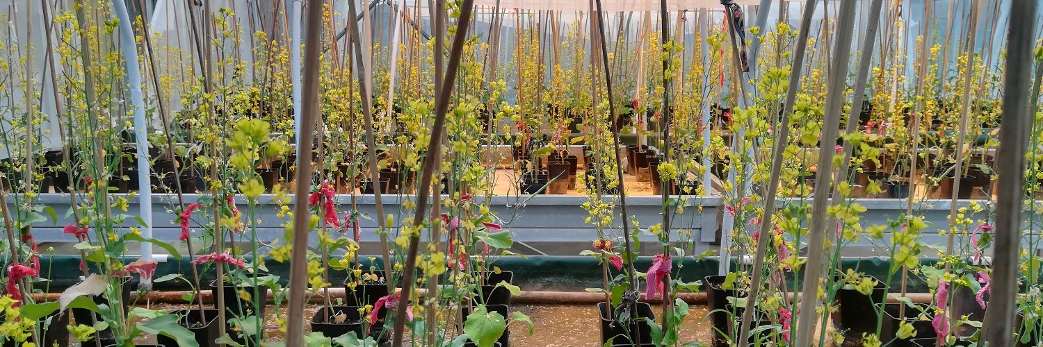 Jeanne Tonnabel banner