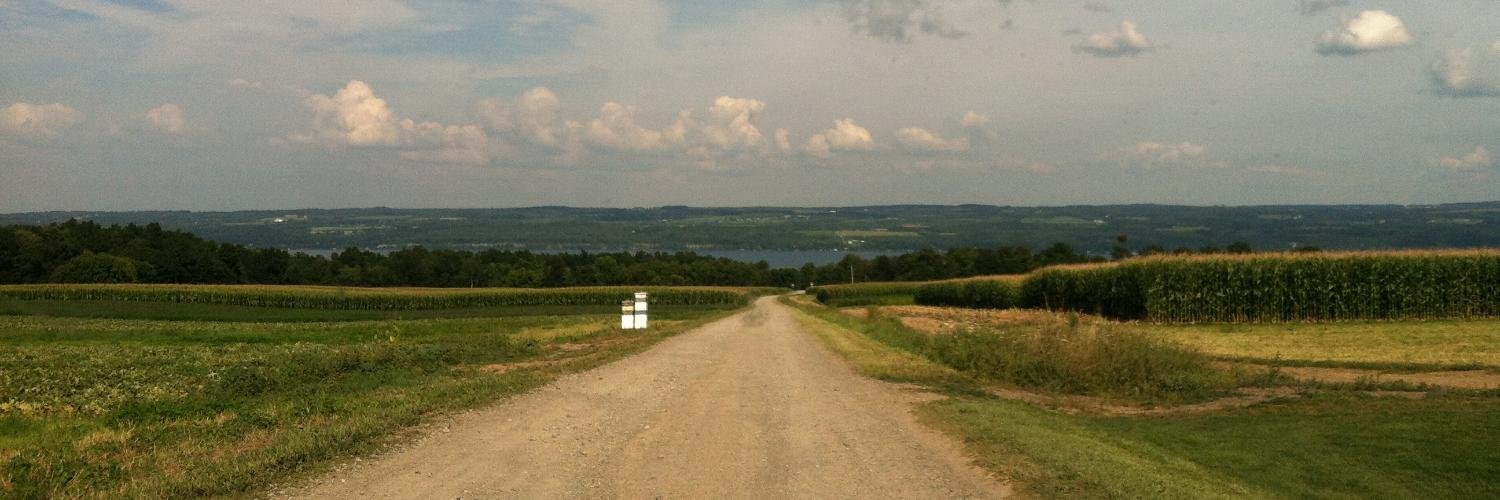 Amy Bernstein banner