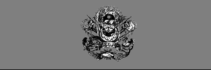 Patriot Halaskar🦅ᛋᛋ banner