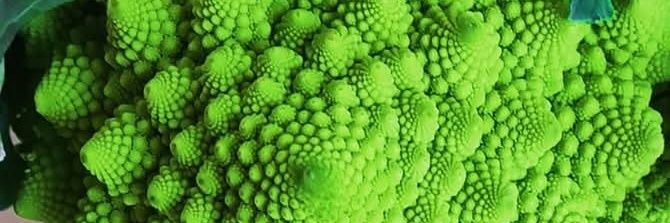 Jigen V. 🦚 banner