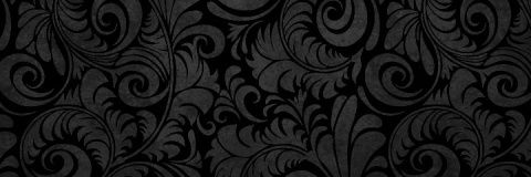 veccabr's profile banner image