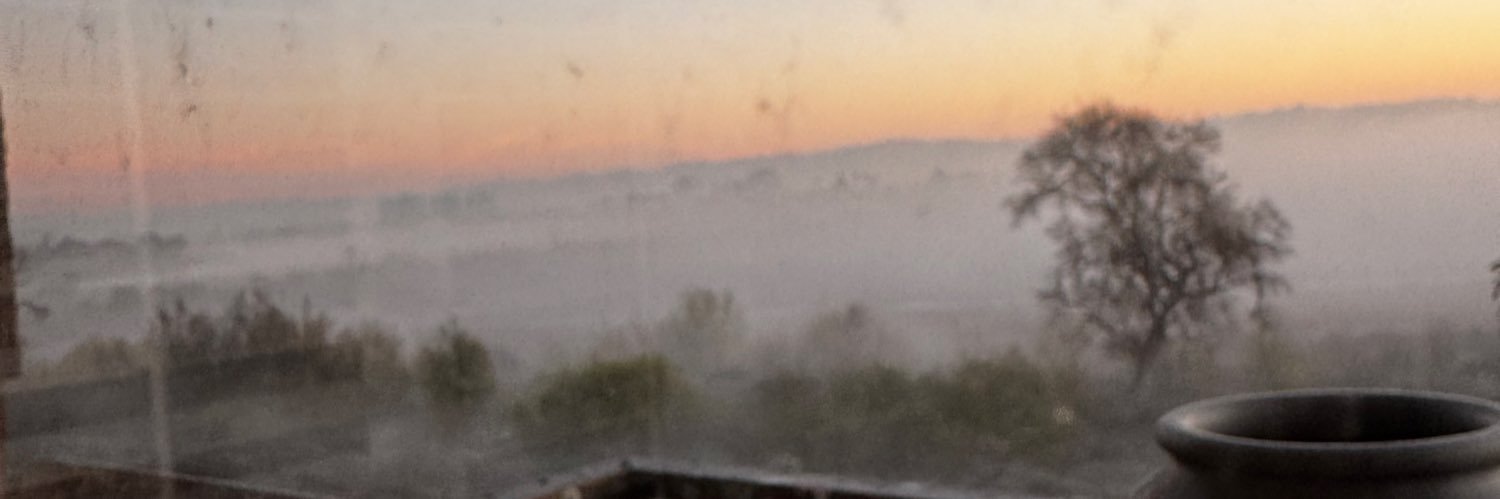 Taryn Southern banner