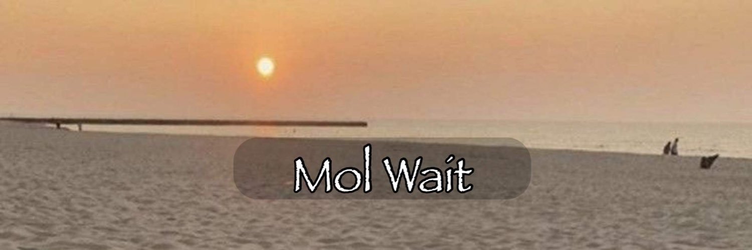 MolWait's profile banner image