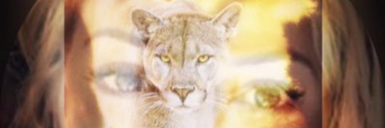 efi_38's profile banner image