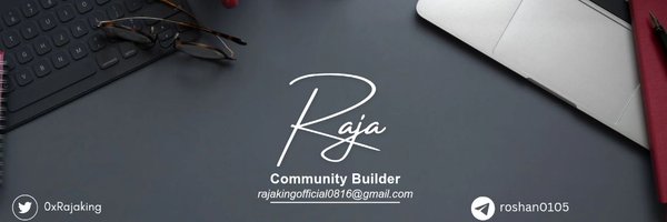 0xRajaking Profile Banner