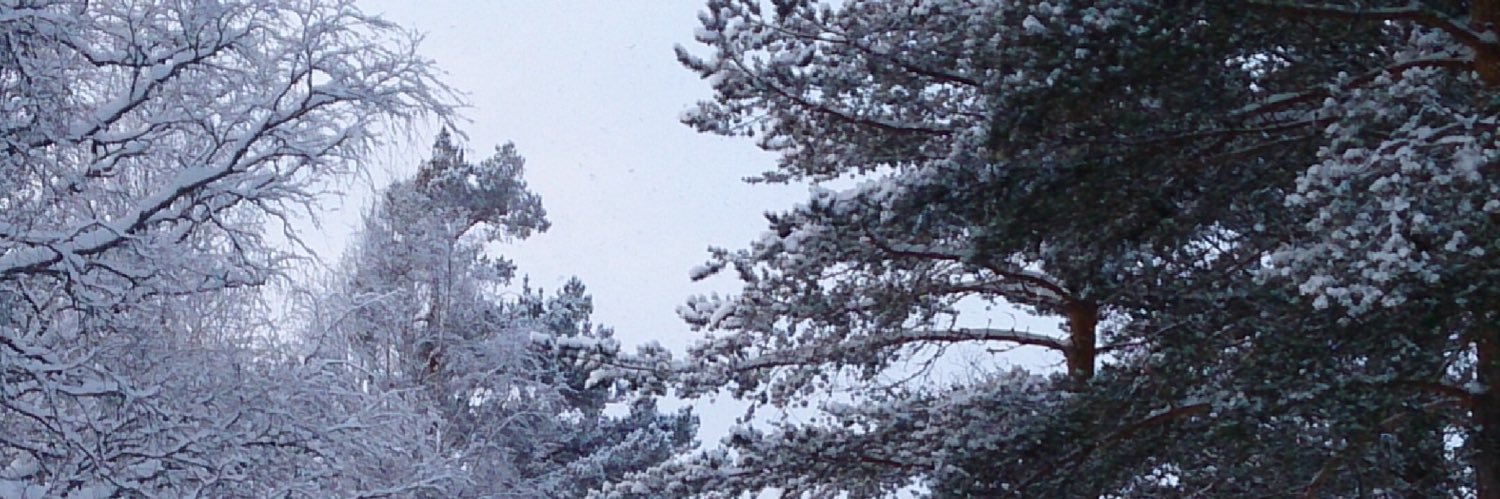 joebenson0304's profile banner image