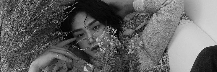 솔리야 banner