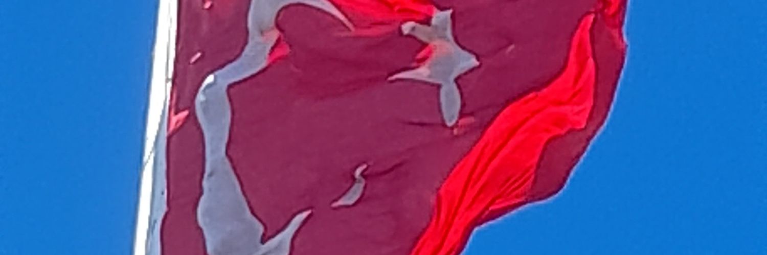 GidalNuriye's profile banner image