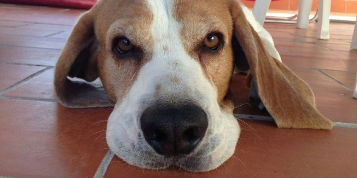 RaulTbar's profile banner image