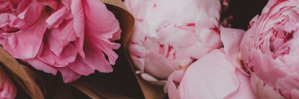 emma banner