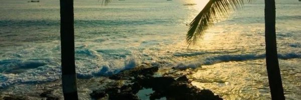 n0raland Profile Banner