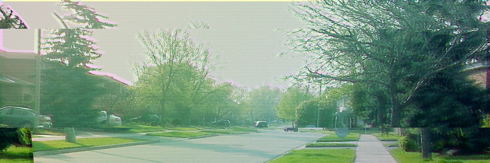Ryan Furtado banner