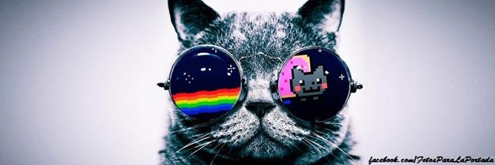 JuarezLucas8's profile banner image