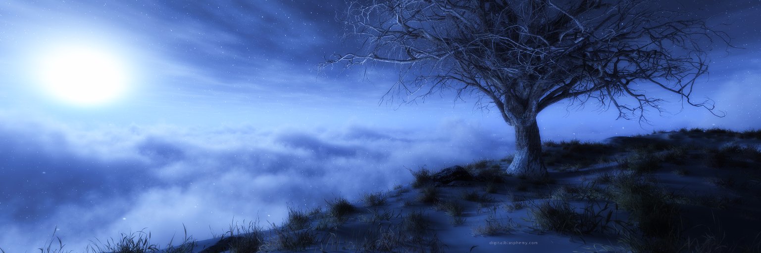 AshR81's profile banner image
