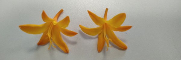 IB_UCLM Profile Banner