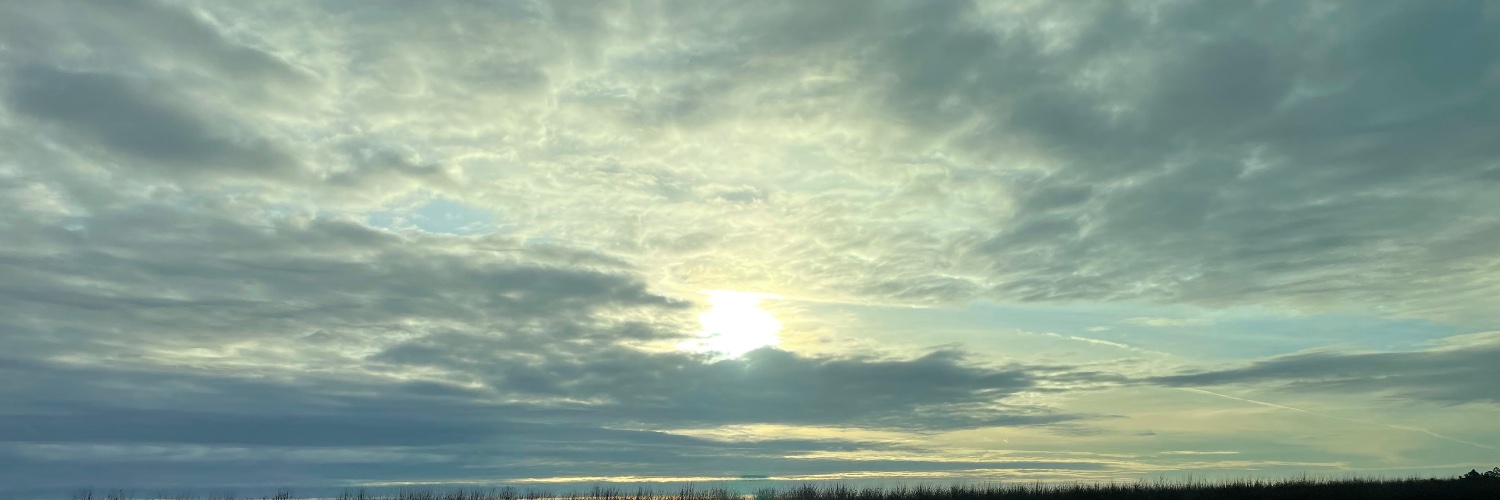 Jenny Leilani Callison banner