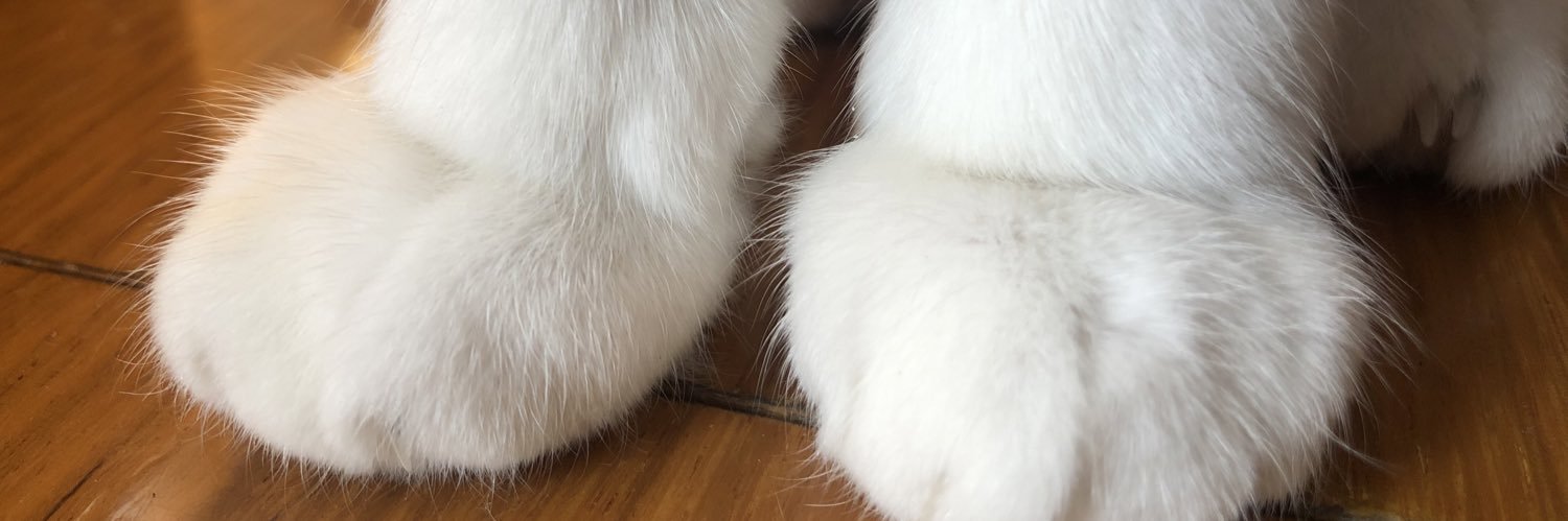 KamiL0ch's profile banner image