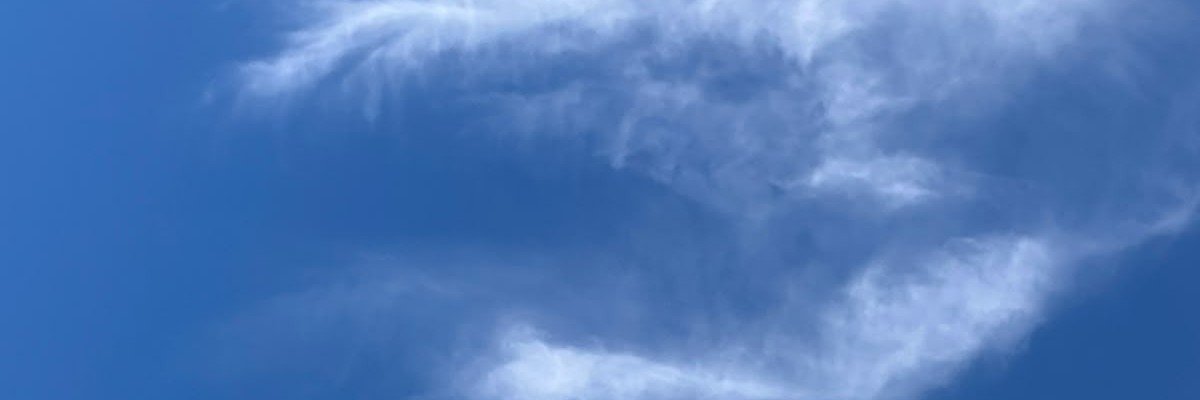 ccamilapl_'s profile banner image