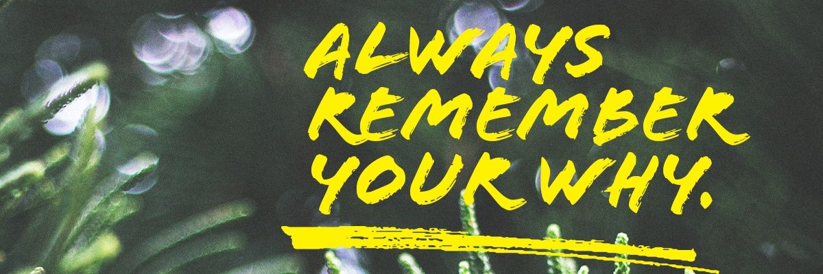 kathaymes's profile banner image