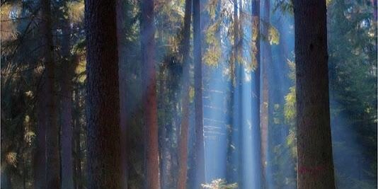 AthkarEveryDay_'s profile banner image