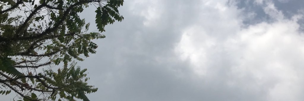 wongkoom's profile banner image