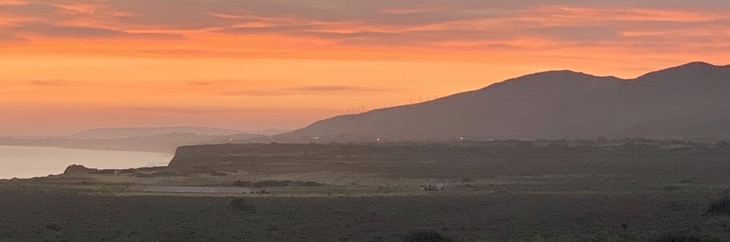 Angel Riggins banner