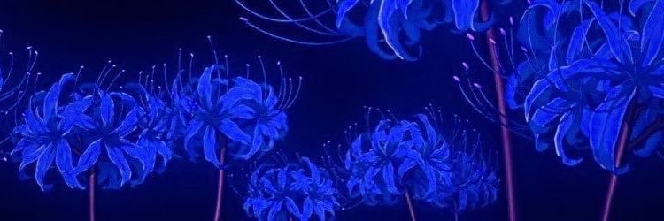 velsonar's profile banner image