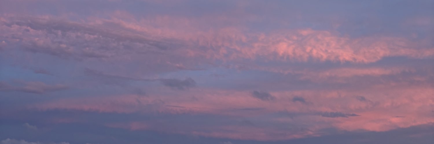 isabellasohn's profile banner image