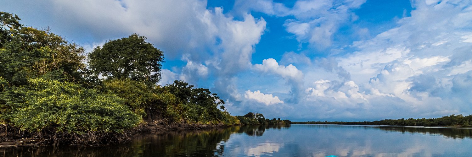 sarindaperera's profile banner image