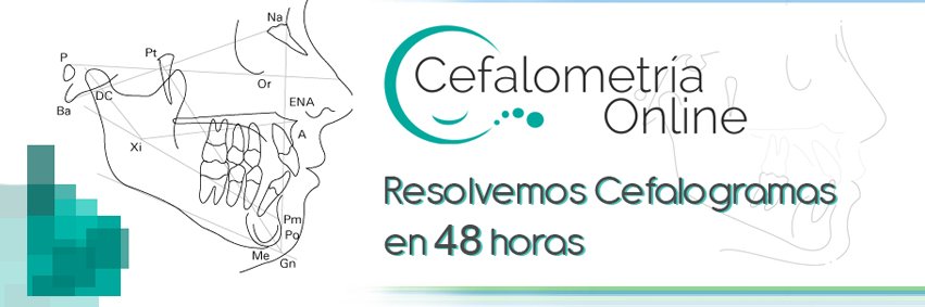 CefOL_'s profile banner image