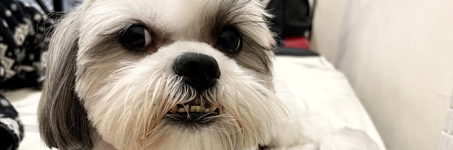 MissNhes's profile banner image