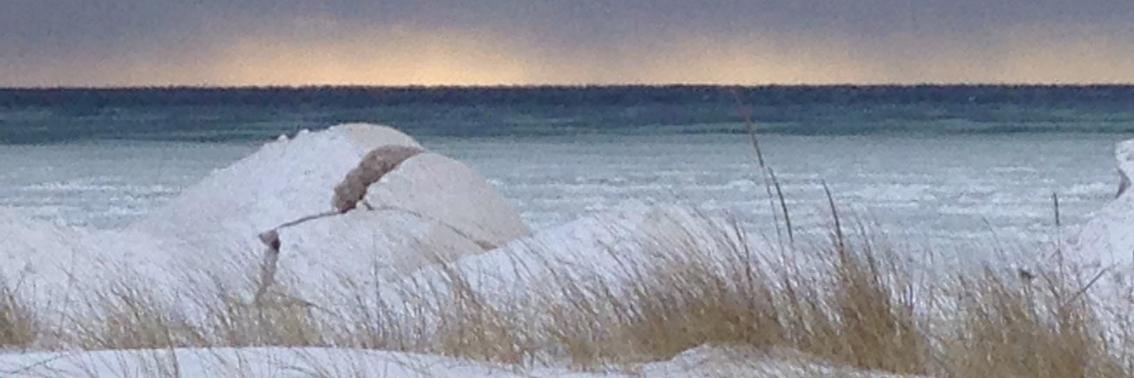 Megan Donahue banner