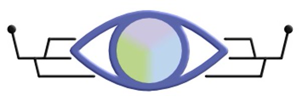 Stanford Retina Profile Banner