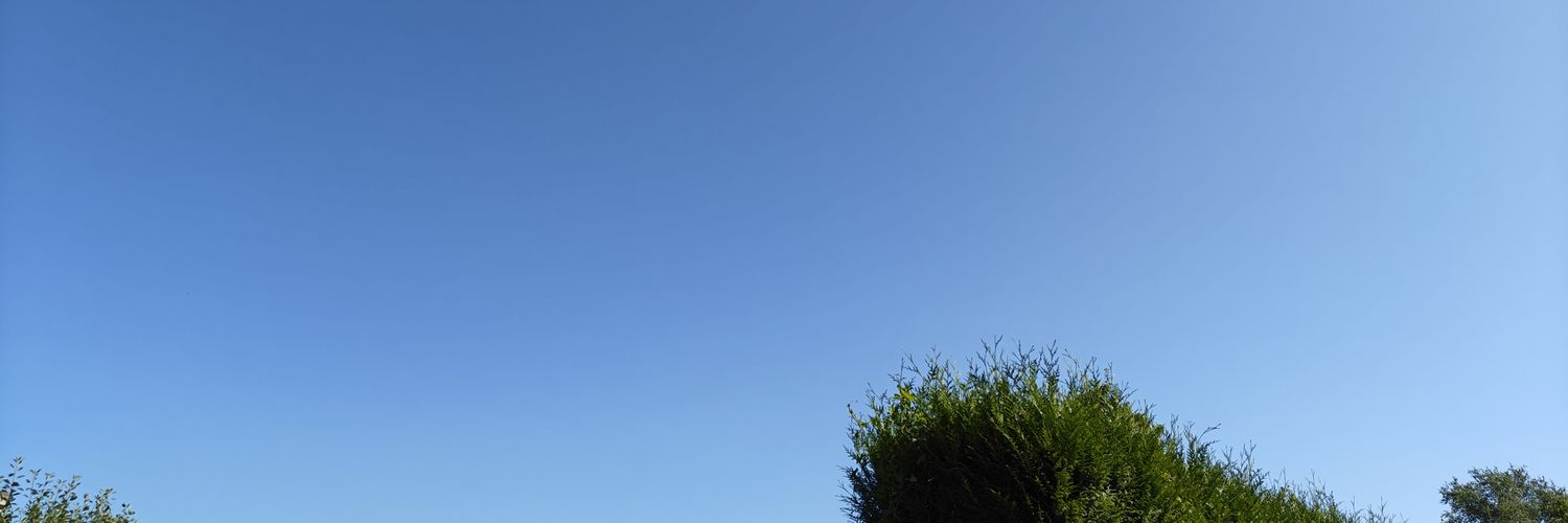 GemmaMuse's profile banner image