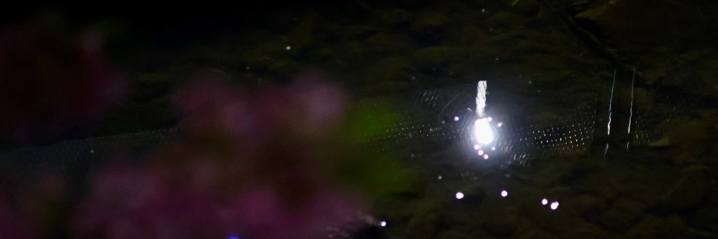 __s2lxx's profile banner image