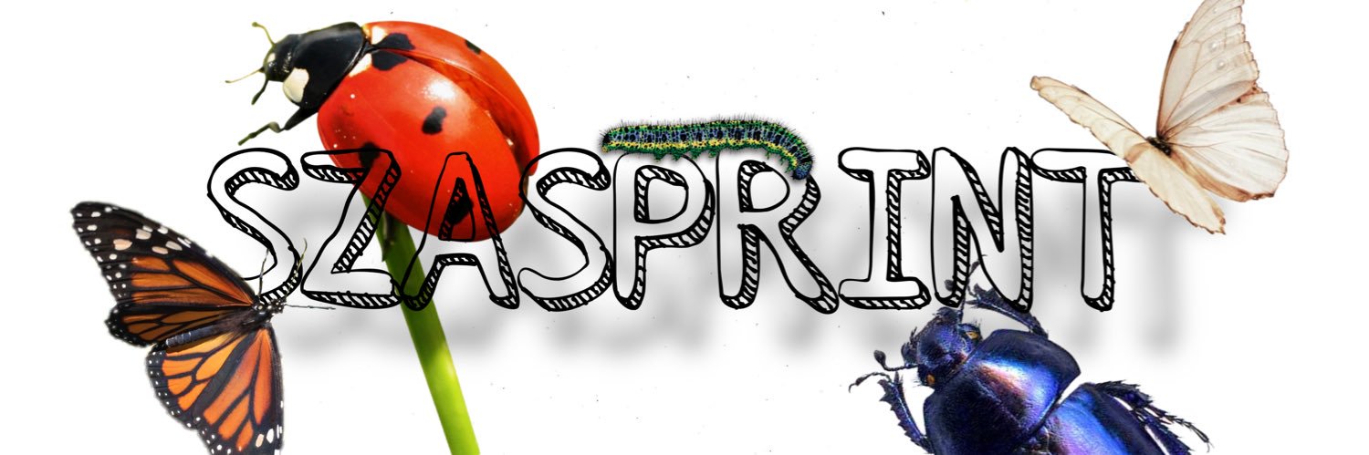 ໊ banner