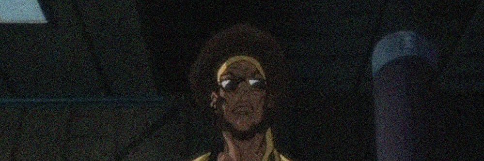 Bushido Brown banner