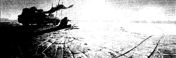 R-bert banner