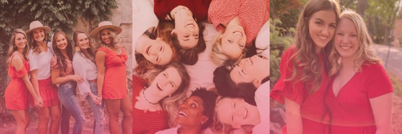 Alpha Omicron Pi banner