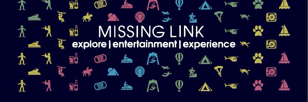 Missing Link banner