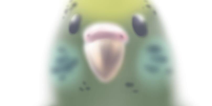 kou_senn's profile banner image