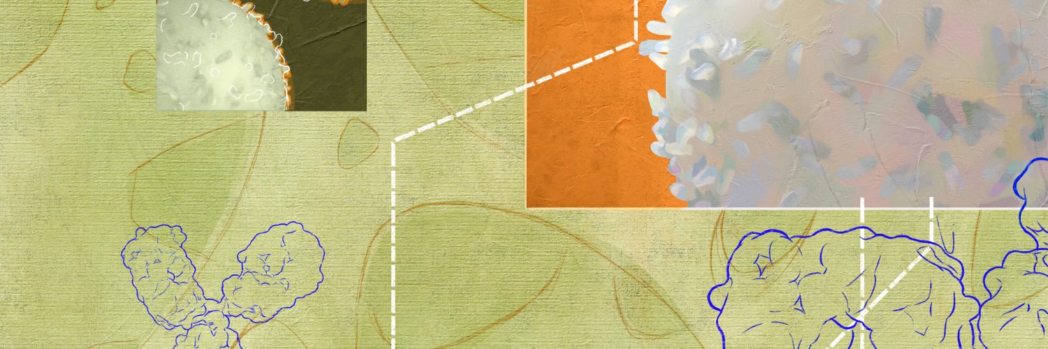 Mirco J. Friedrich banner