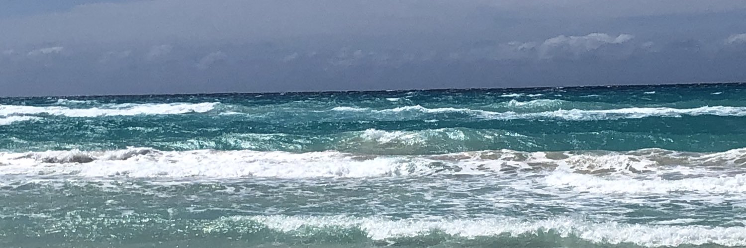 Claudia Esmeralda banner