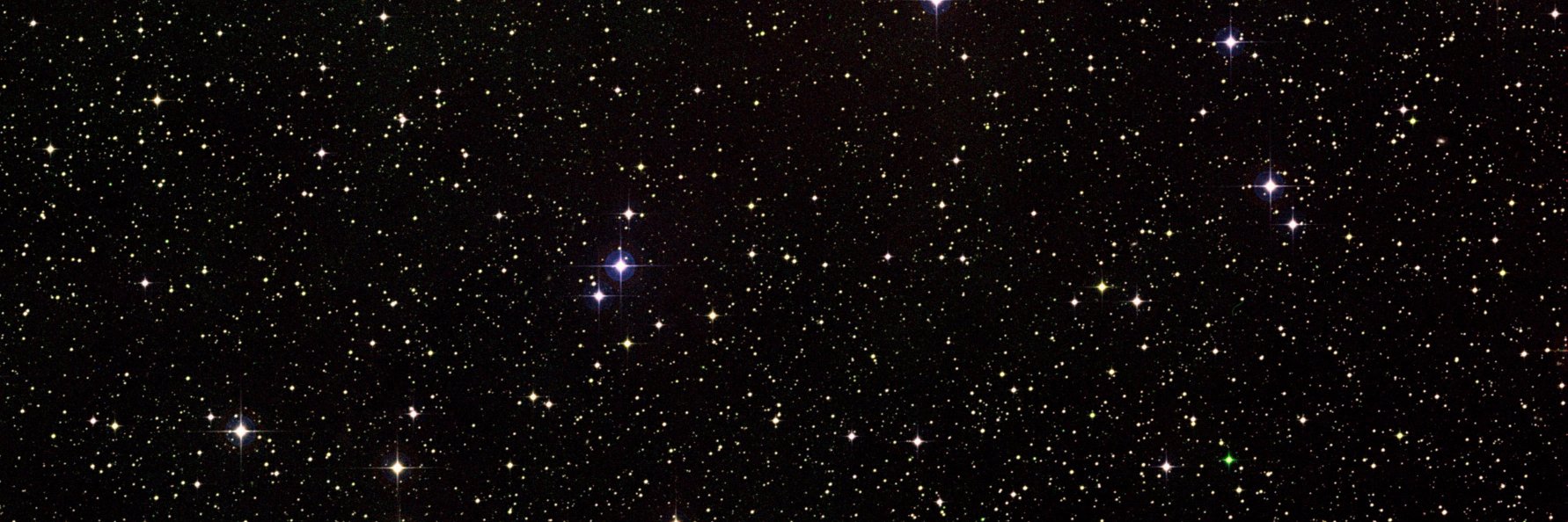 Chrissy Maroon 💫 banner