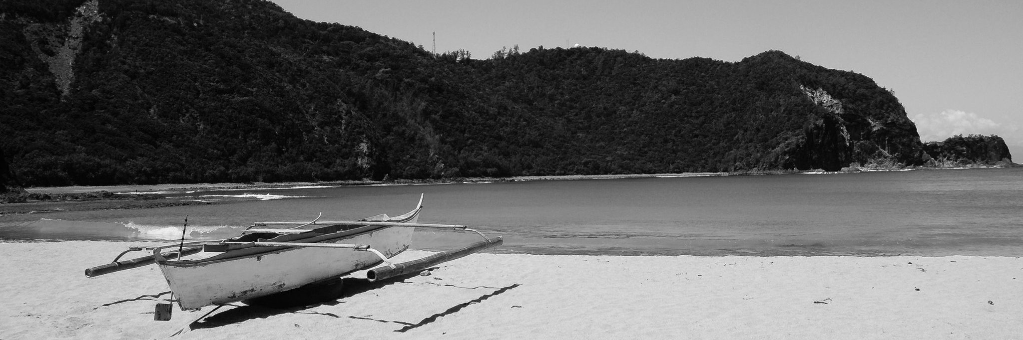 Ted banner
